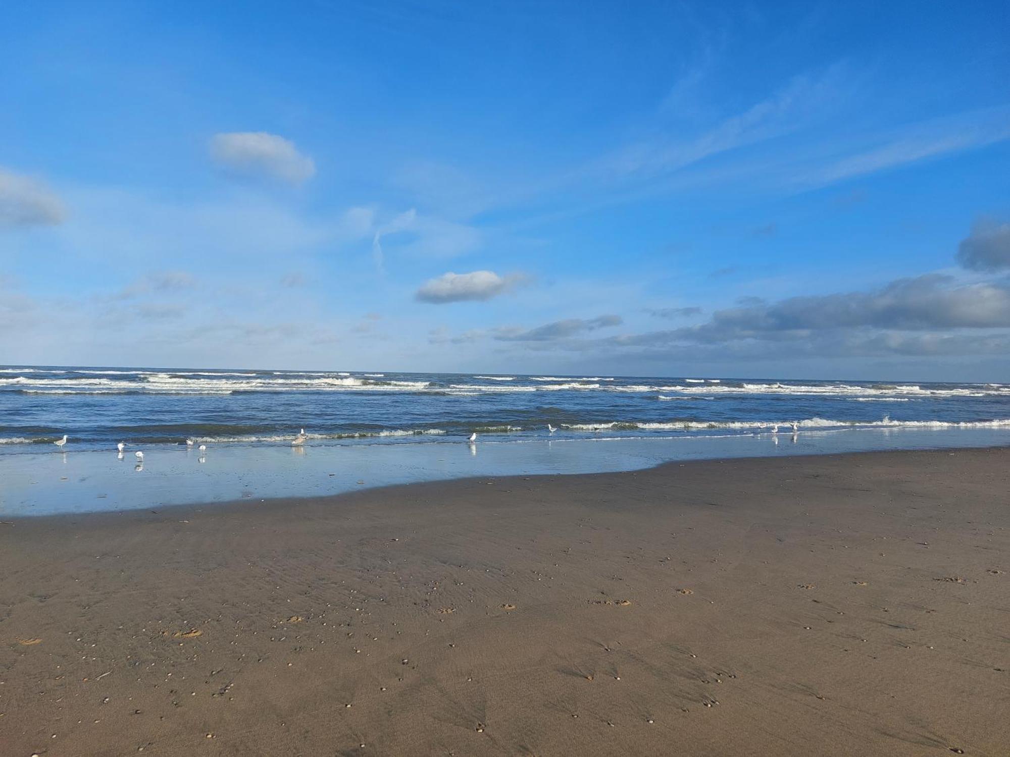 Rembrandts Beach View Zandvoort Bilik gambar